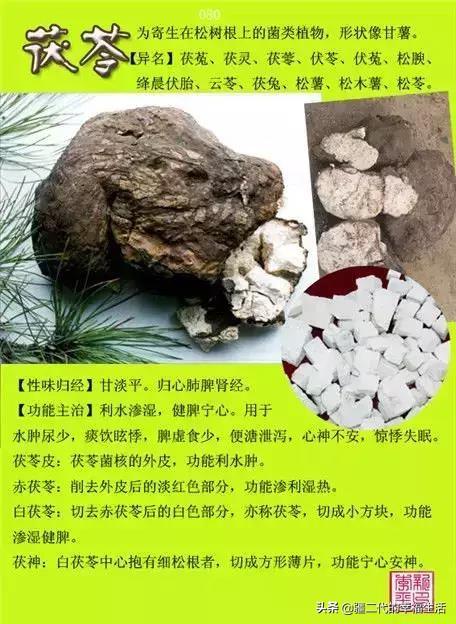 常见中草药图谱，中草药经典图谱（让你知道常用药都长啥样）