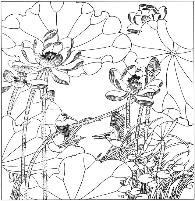 工笔荷花白描，高清工笔荷花白描 110幅