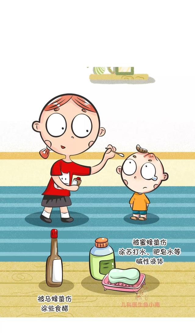 被蜂蜇了怎么办，蜂子蛰了怎样止痒（一文读懂蜂蛰伤）