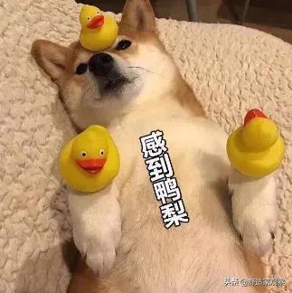 地暖分集水器分开安装，地暖分集水器到底装哪里最合适