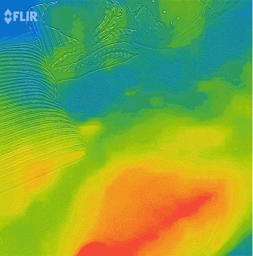 水暖毯怎么加水，水热毯怎么加水（我第一床水暖毯分享报告）