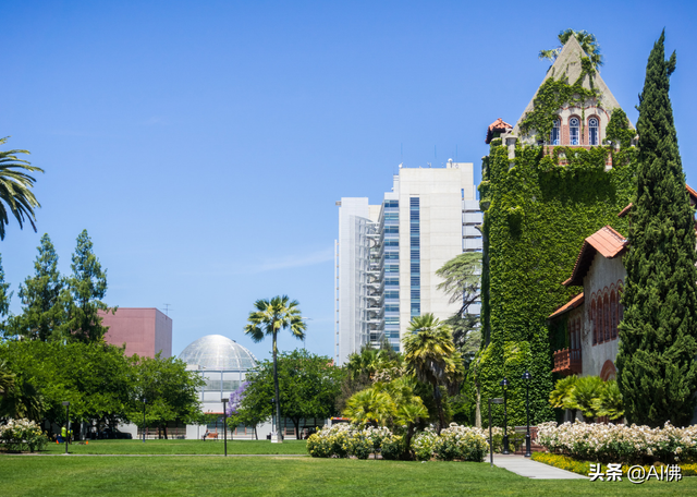 什么是州立大学，美国州立大学有哪些（美国最自由的公立大学）