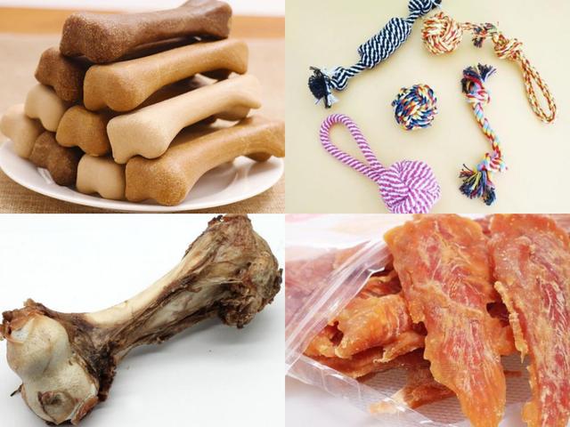 养狗需要做哪些方面的准备，养狗之前需要准备什么（养狗狗所需的“物品清单”）