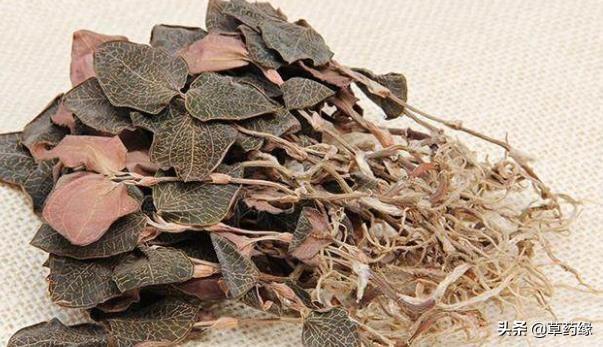 野生与种植的金线莲功效区别，金线莲栽培品和金线莲野生品的区别秘密