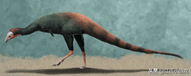 re网名的含义，Re微信昵称（2020古生物学家到底命名了多少种恐龙）