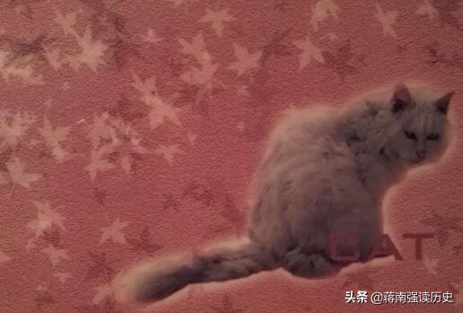 义薄云天是什么动物，义蒲云天指什么动物（为什么只有鼠年）