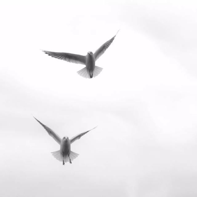 iphone拍照有哪些功能，iPhone手机的自带相机操作完全指南