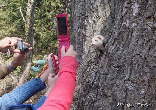 调侃是什么意思，异性调侃是什么意思（你知道老美是怎么调侃他们的