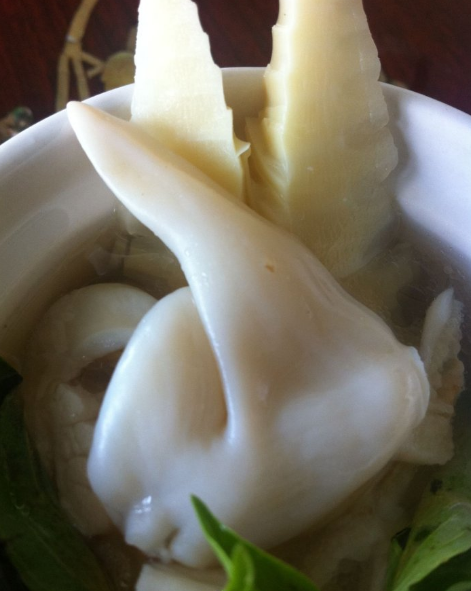 西施舌的详细区分方法，西施舌的来历（珍稀贝品  日照西施舌）