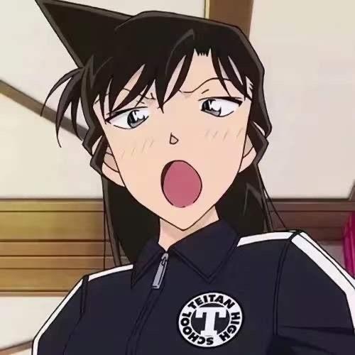 高清新兰图片，新兰图片大全（『情侣头像』新兰cp）