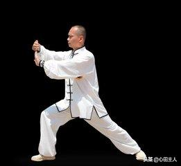 中国的拳法有哪些，中国的拳法有哪些名字（中国武术拳种概举）