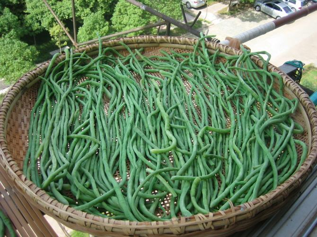 豇豆角焯水几分钟能熟,豆角的15种最佳吃法(天太热孩子不爱吃饭)