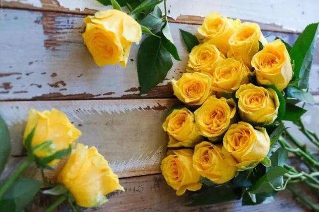 各种玫瑰花的含义，各色的玫瑰花有什么含意（一篇文章认全花店必备80种玫瑰花）