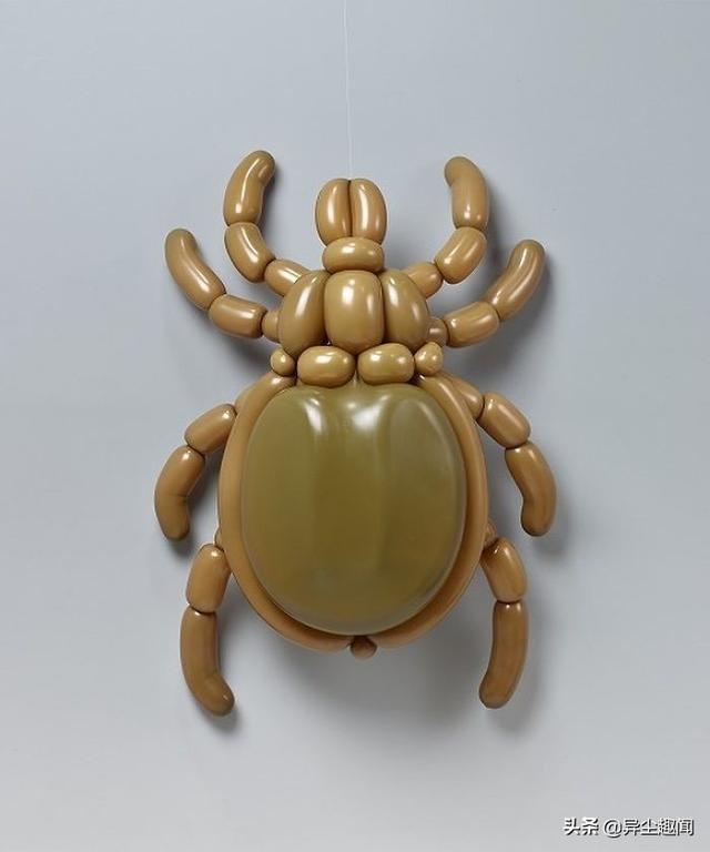 用气球做小动物教程，教你用气球做小狗的方法（日本艺术家用气球制作了令人难以置信的动物模型）