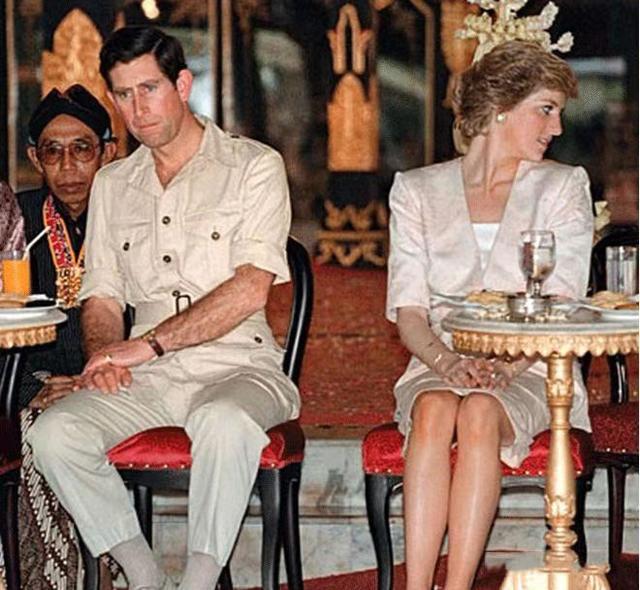 戴安娜王妃简介，英国平民王妃戴安娜（被出轨、斗王室、离婚、车祸）