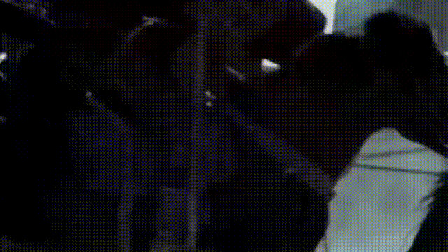 铜祖是什么东西，铜祖是什么东西图片（这座古墓似是跨越了几千年的时空）