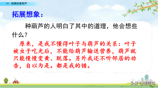 什么的枝叶填空，什么枝叶填空二年级（部编版二年级上册第14课《我要的是葫芦》课件及同步练习）