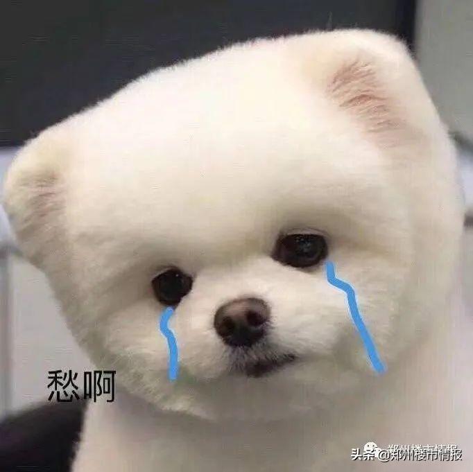 郑东新区实验学校咋样（郑东新区为什么没有好学校）