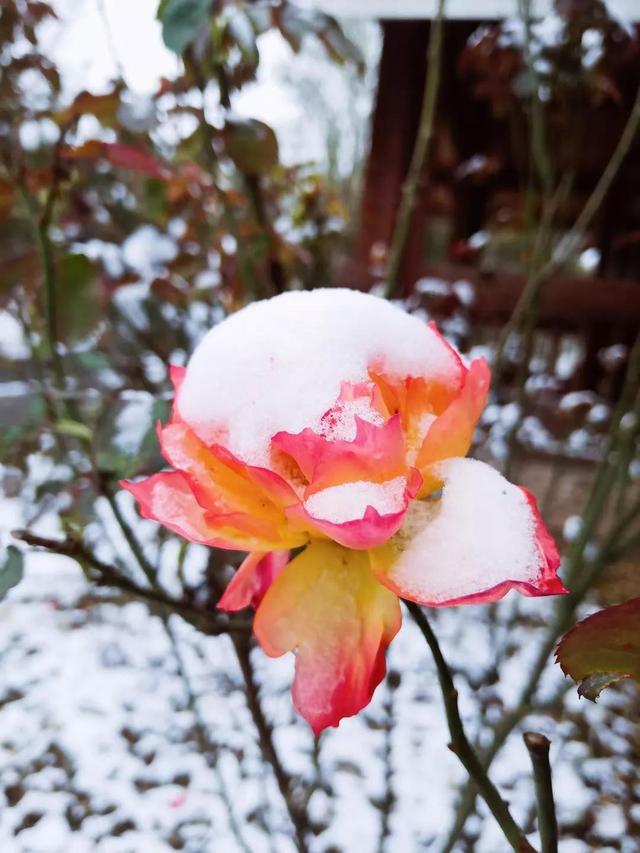 慌慌张张匆匆忙忙，匆匆忙忙慌慌张张是什么歌（慌慌张张，匆匆忙忙的一年）