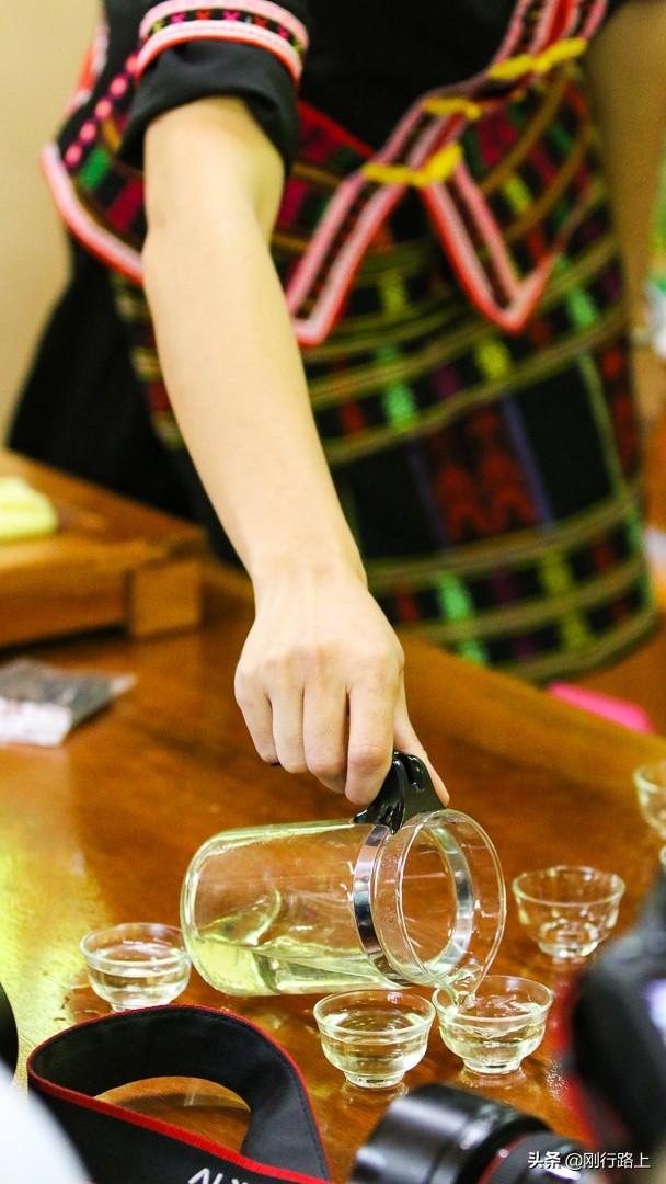 海南苦丁茶是什么茶，海南苦丁茶的功效与作用价格（当地老百姓生活中“物什”）