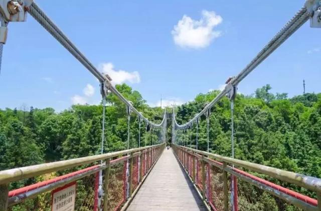 东部华侨城大峡谷，东部华侨城大峡谷人造瀑布叫什么（东部华侨城暑假欢乐曲）