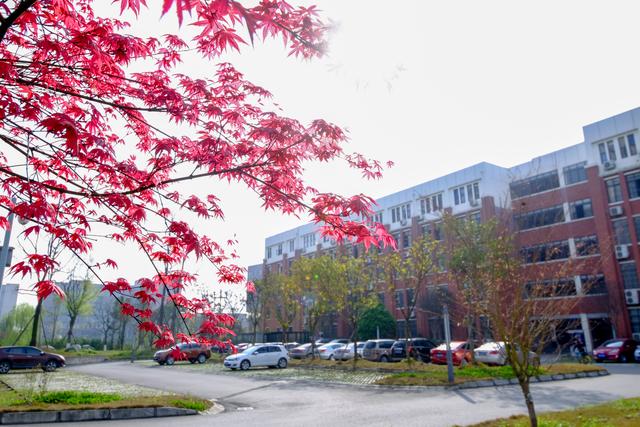 西南交通大学研究生分数线，2022西南交大考研复试线：交规360分（西南交通大学2019年硕士研究生招生复试分数线）