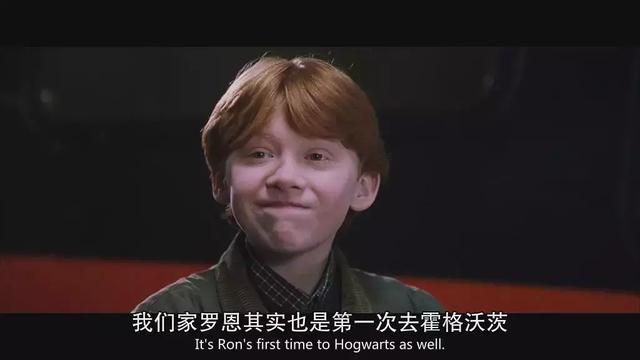 赫敏是哪个学院的，哈利波特为什么蛇院最火（《哈利波特》魔法学霸40岁了）