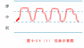 28种脉完全图解，如何把脉看怀孕（中医把脉歌诀----郎朗上口）