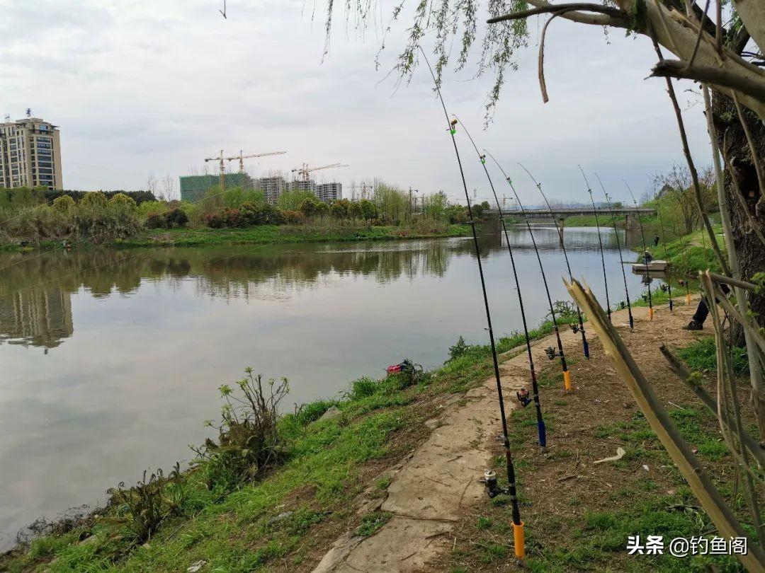 抛竿串钩钓鲢鳙总空竿？正确钓组安装技巧助你轻松上鱼