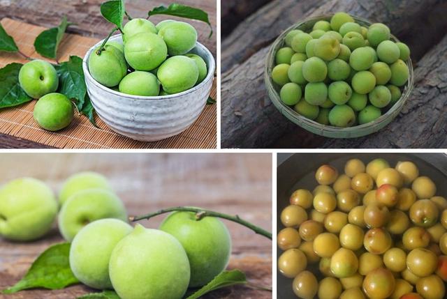 青梅竹马出自哪个典故，青梅竹马取自哪个典故（你知道是哪一种植物果实吗）