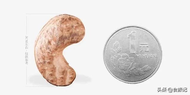 腰果的皮可以吃吗，红皮腰果的皮可以吃吗（这个腰果有点儿性感）