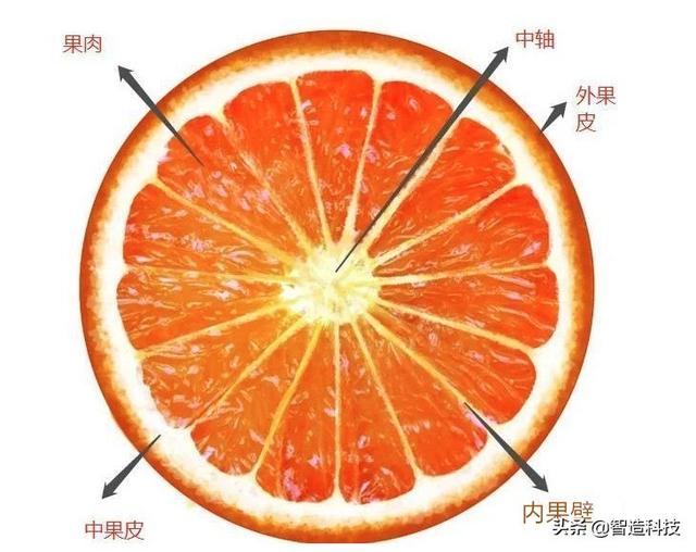 伦晚为什么叫伦晚，为什么叫伦晚（除了像它的名字一样）