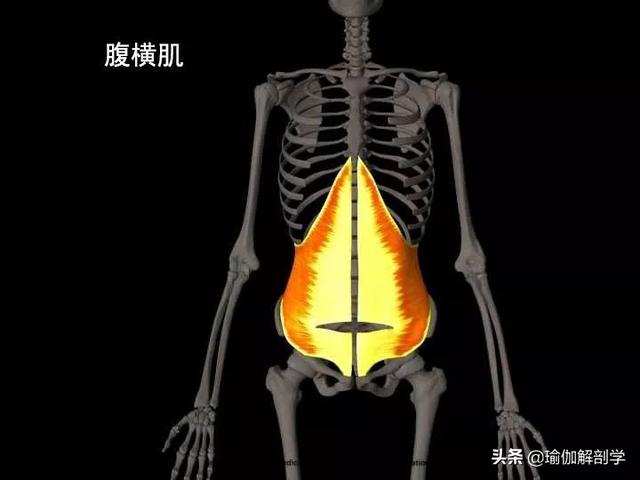 瑜伽减肥瘦腰方法，瑜伽减肥瘦腰方法图解（4个简单瑜伽动作每天躺着练）