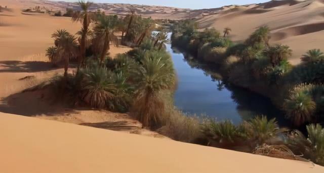 燕子的资料，燕子为什么要辛苦捕食昆虫