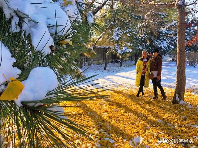情侣唯美雪景图片，情侣唯美雪景图片真实（冬日初雪印象：一半冬雪）