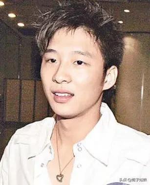 章子怡撒贝宁相恋，撒贝宁 章子怡（为什么最后嫁给了汪峰）