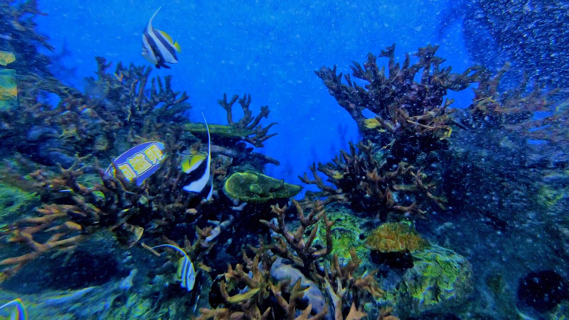 离济南最近的海边(滨州海边沙滩在哪里)