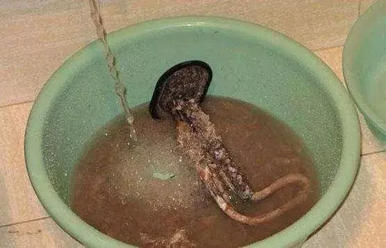 热水器清洗方法，清洗热水器正确的方法（不用请师傅浪费钱）