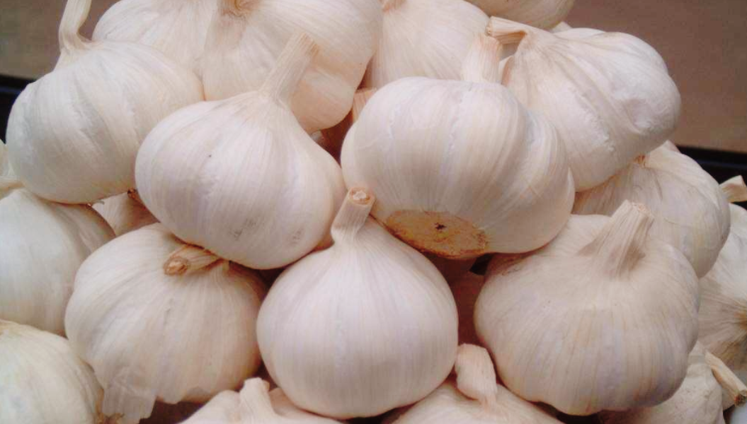 大蒜的5个保存方法 不易坏 也不长芽-起舞食谱网