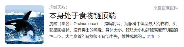 墨鱼相克的食物，海洋生物之间的天敌相克有多不讲道理