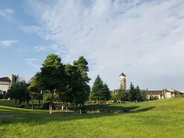 成都东软信息技术学院,成都东软学院是一本还是二本(这里是成都东软学院) 成都东软信息技术学院,成都东软学院是一本还是二本(这里是成都东软学院)