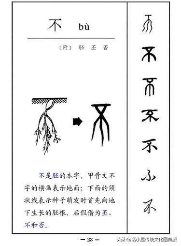 甲骨文的演变过程，甲骨文经过3千年演变过程（从字源到甲骨文、金文、小篆再到楷书、行书的过程）