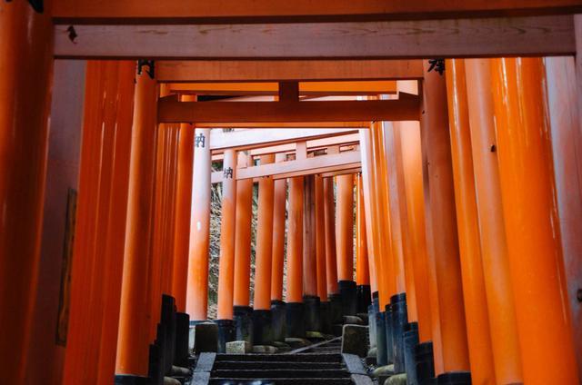 日本鸟居有多可怕，日本鸟居最多的地方（千本鸟居，日本的标志性建筑）