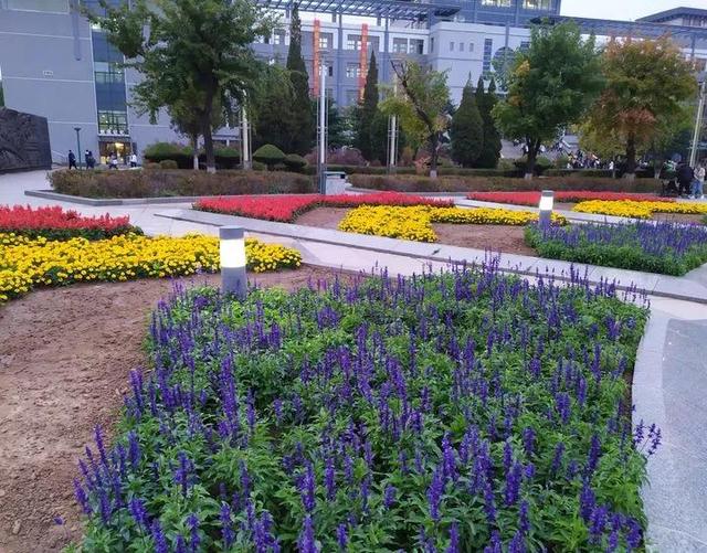 辽宁科技大学宿舍，2021年辽宁科技大学新生宿舍条件图片环境怎么样（<十五>辽宁科技大学）