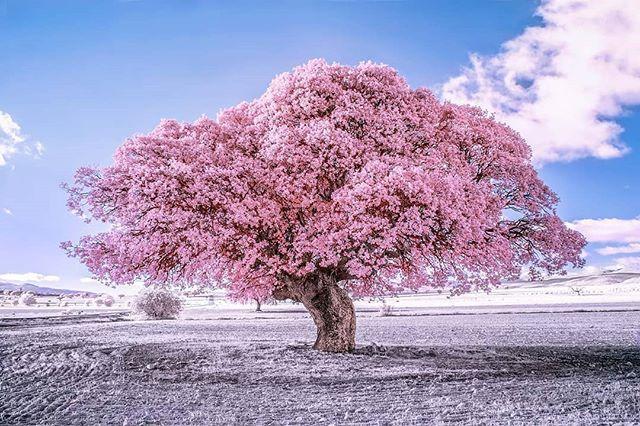 母亲节贺卡内容，生日贺卡制作简单漂亮（母亲节贺卡祝福语）
