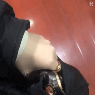 表情包系列，表情包系列有哪些（表情包丨口袋里什么都有系列图片）