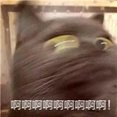 常见的酸奶种类有哪些，常见的酸奶种类有哪些英文（最想安利给你们的是这几款）