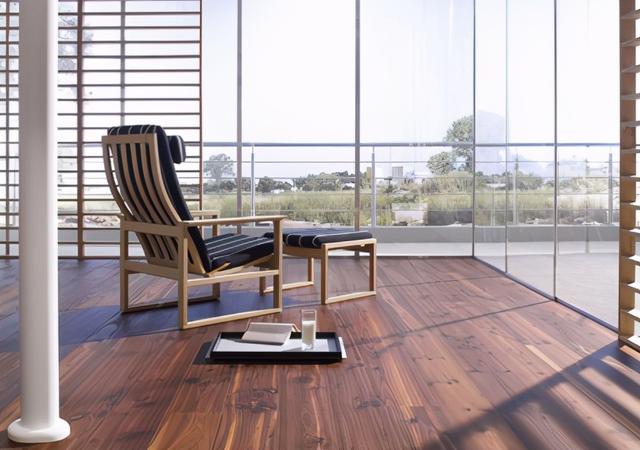 地龙骨定义的介绍，它的功效与作用是什么（学会挑选妙招，让冬天更加温暖）