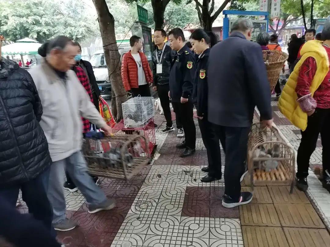 宠物市场在哪(成都哪里有卖狗市场)