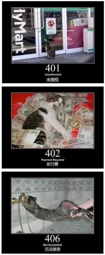 404，404、405这些错误指令你知道是什么意思吗